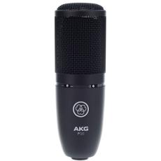 Akg P120